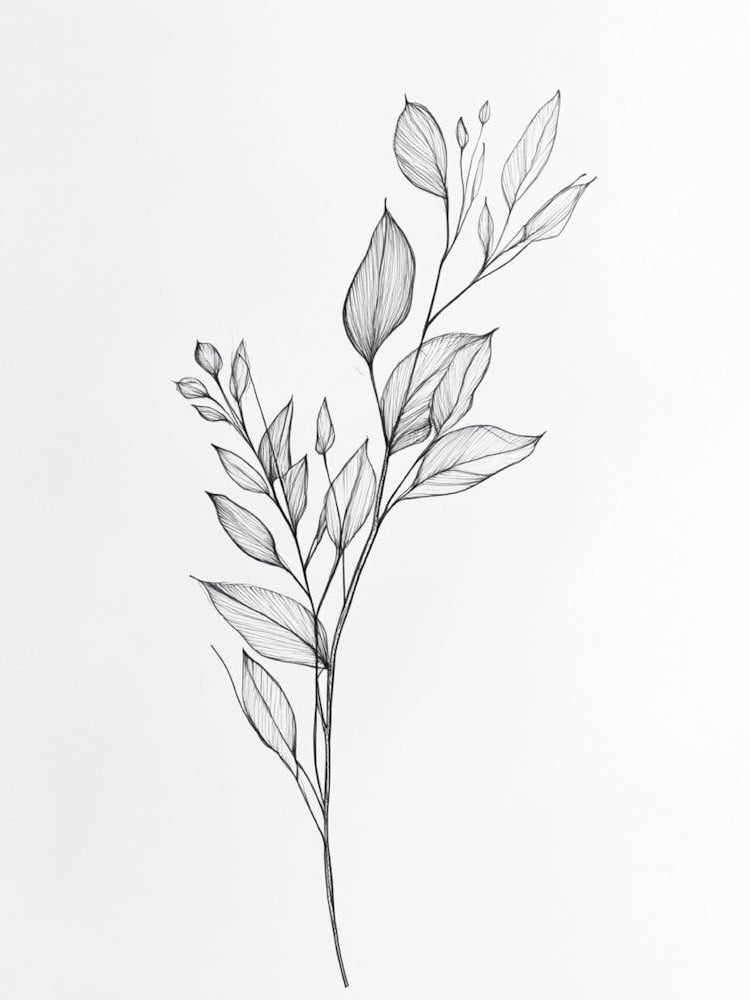 Drawing Of A Leaf 3