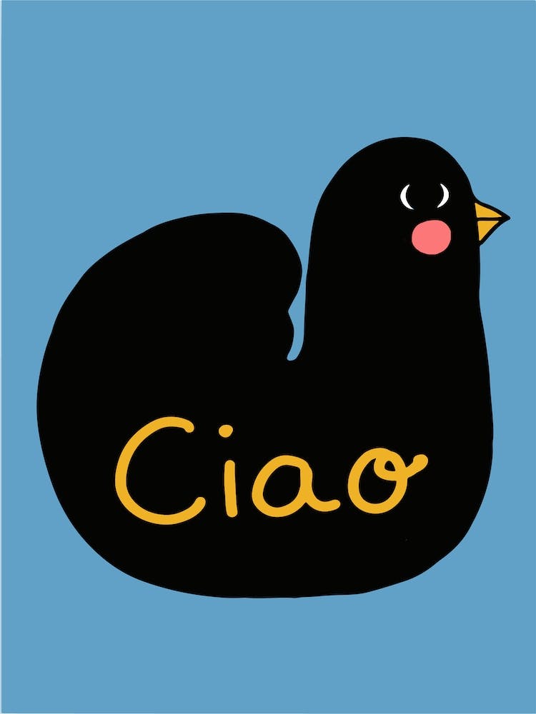 Ciao Black Bird