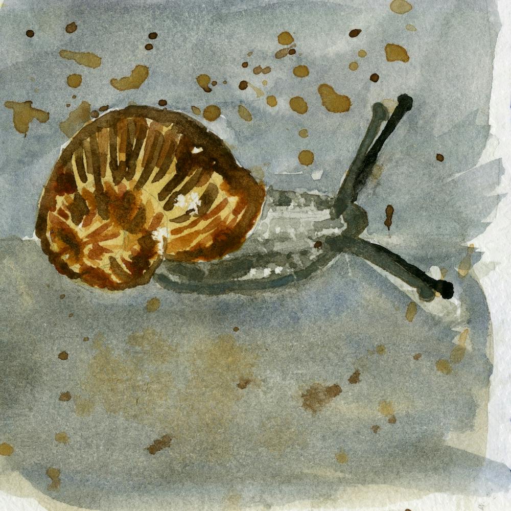 Golden Brown And Gray Snail Watercolor Painting