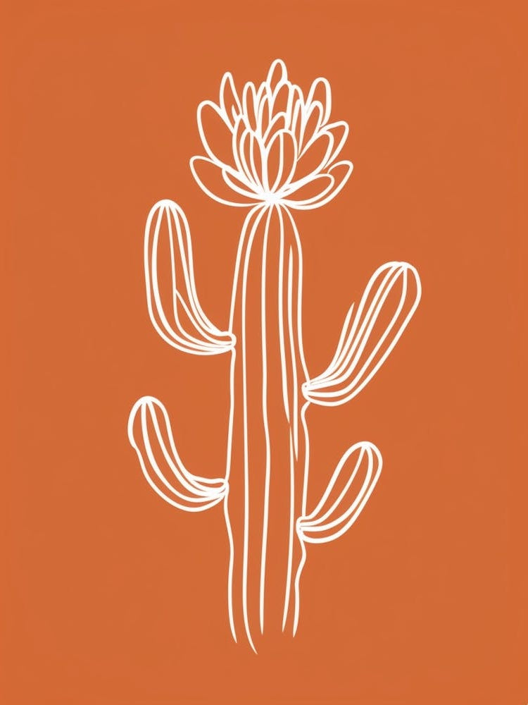 Cactus Line Drawing Echinocereus Cactus 3