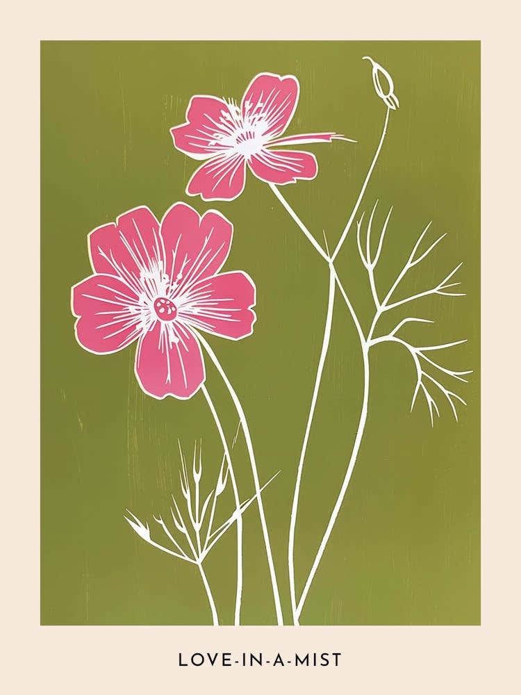 Pink & Green Love In A Mist 6 Flower Poster