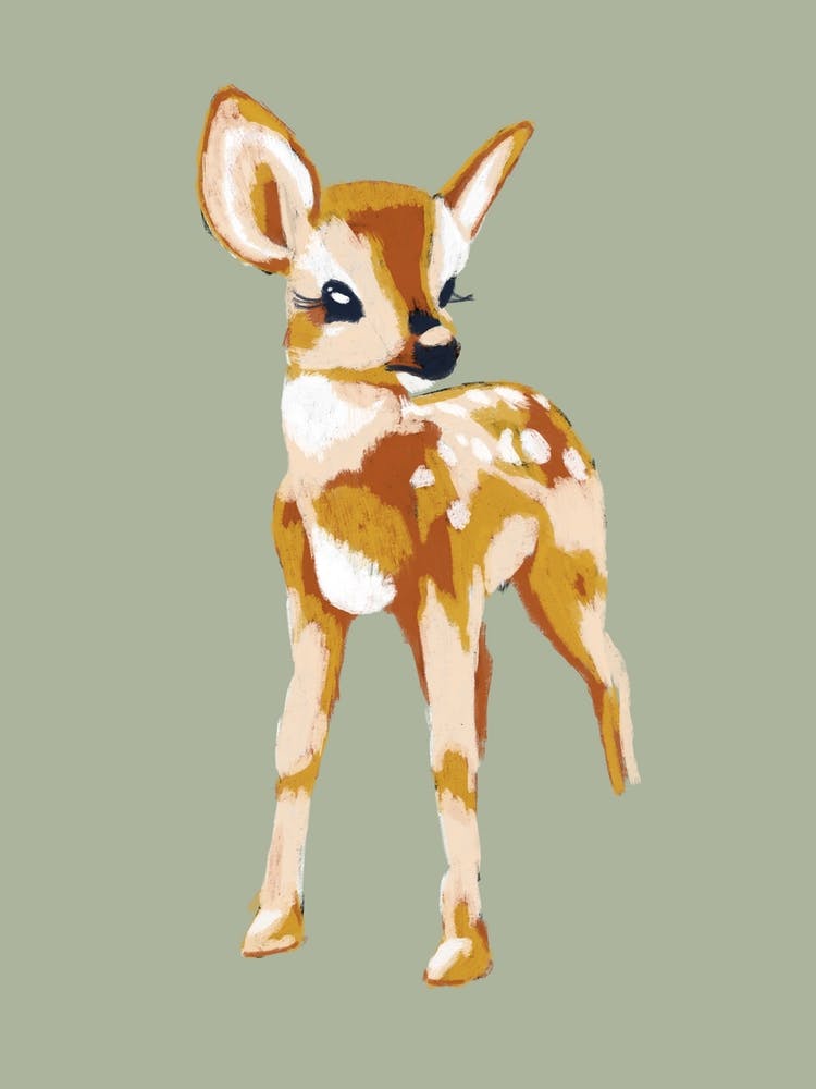 Baby Deer