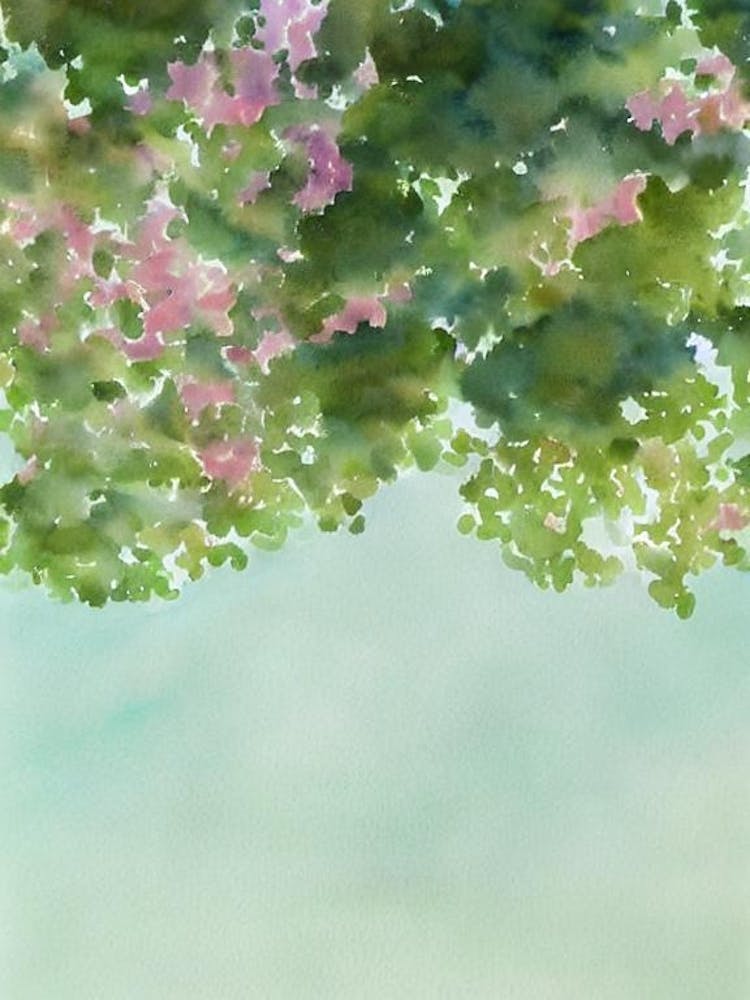 Acropora Abrotanoides Ii Storybook Watercolour