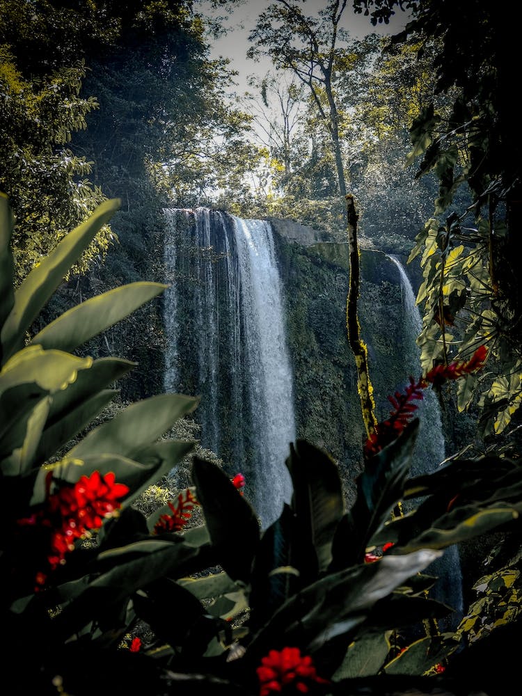 Waterfall Of Misol Ha