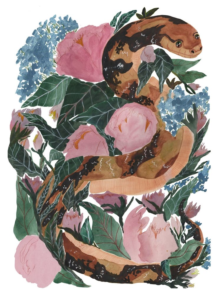 Big Snake And Some Peonies