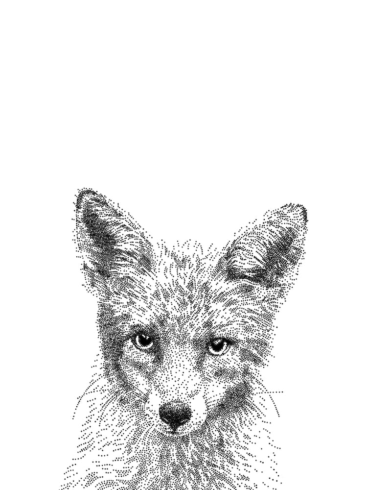 Fox Animal Print