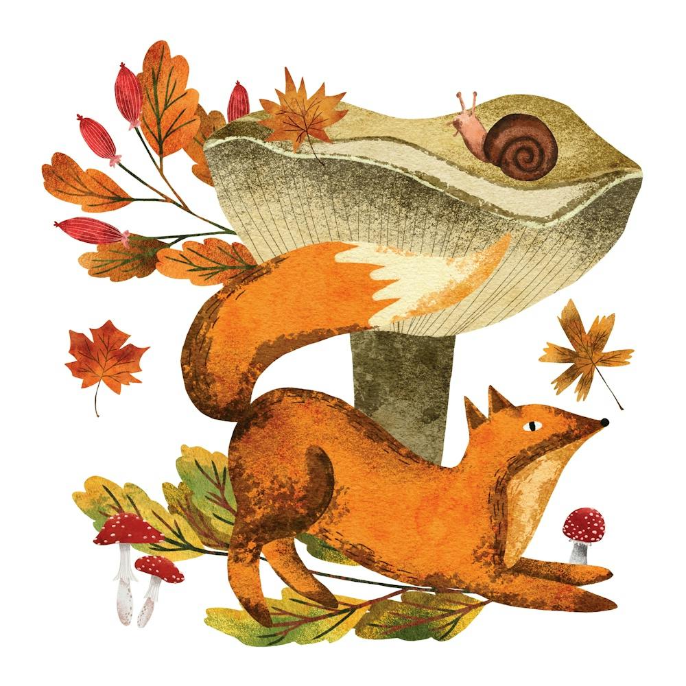 Autumn woodland wild fox and red leaves