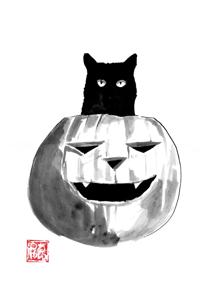 Halloween Cat