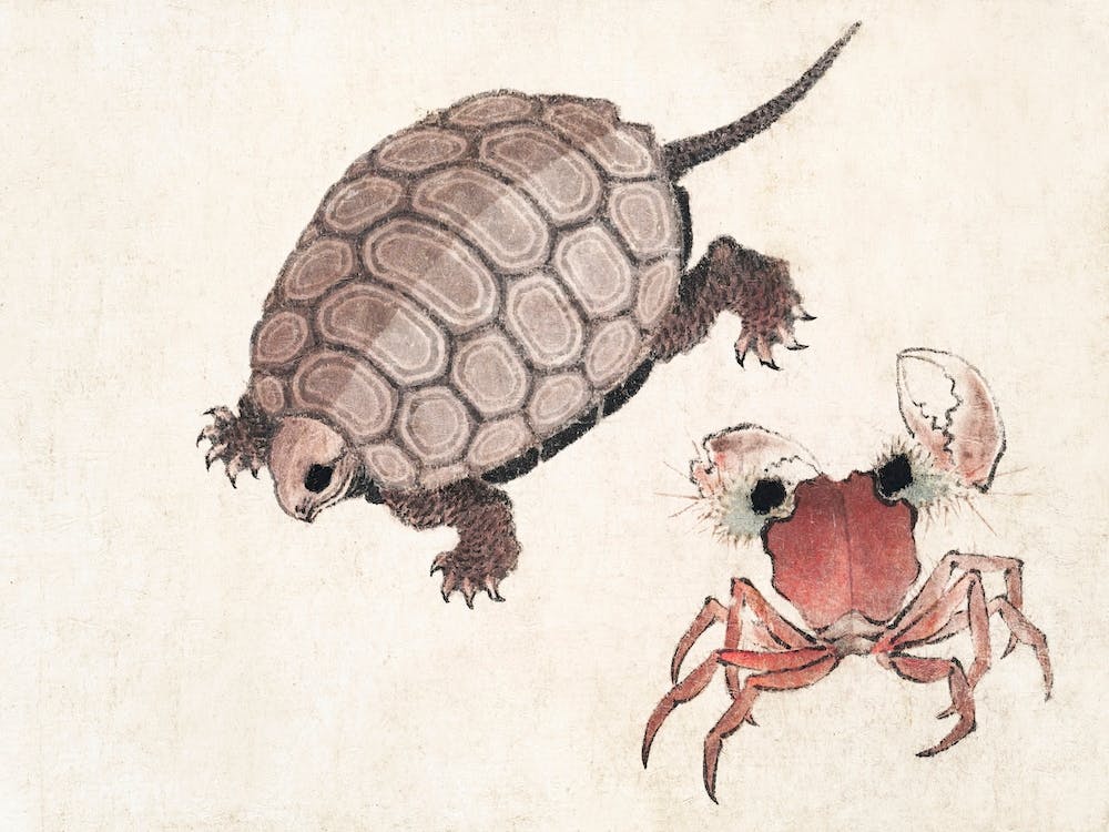 Turtle And Crab, From Album Of Sketches (1814), Katsushika Hokusai