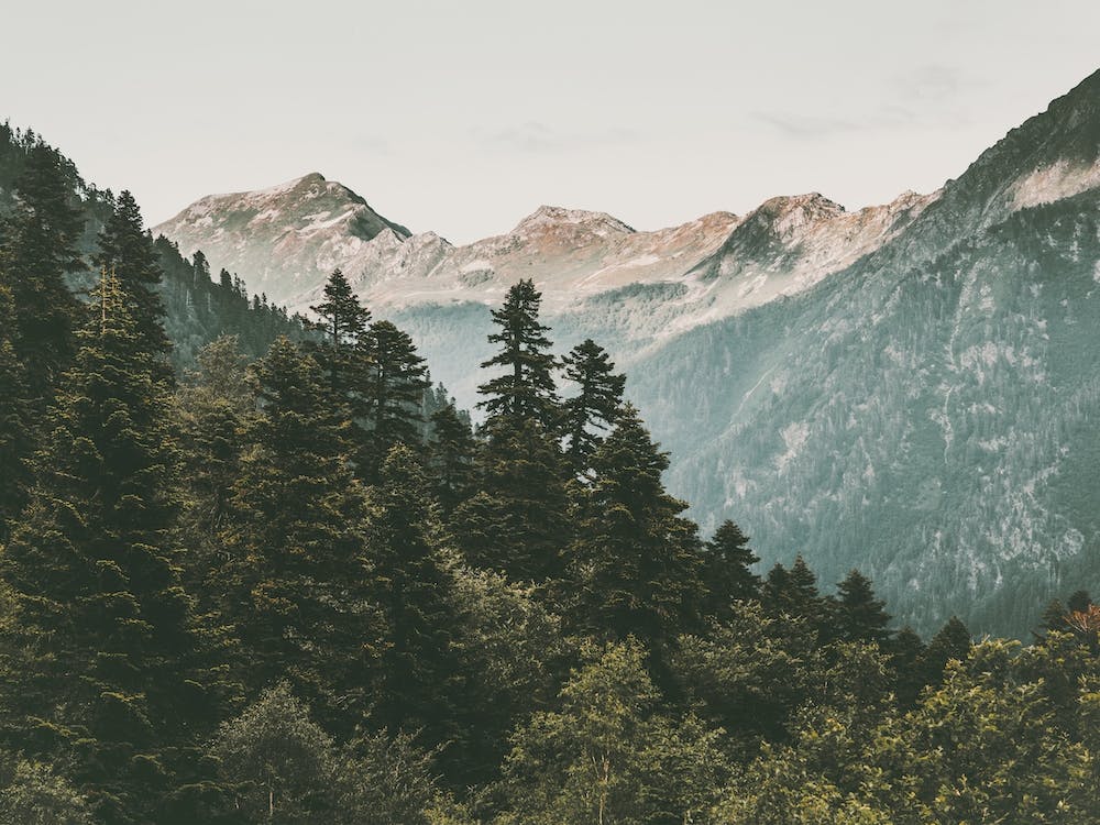 Warm Mountain Views