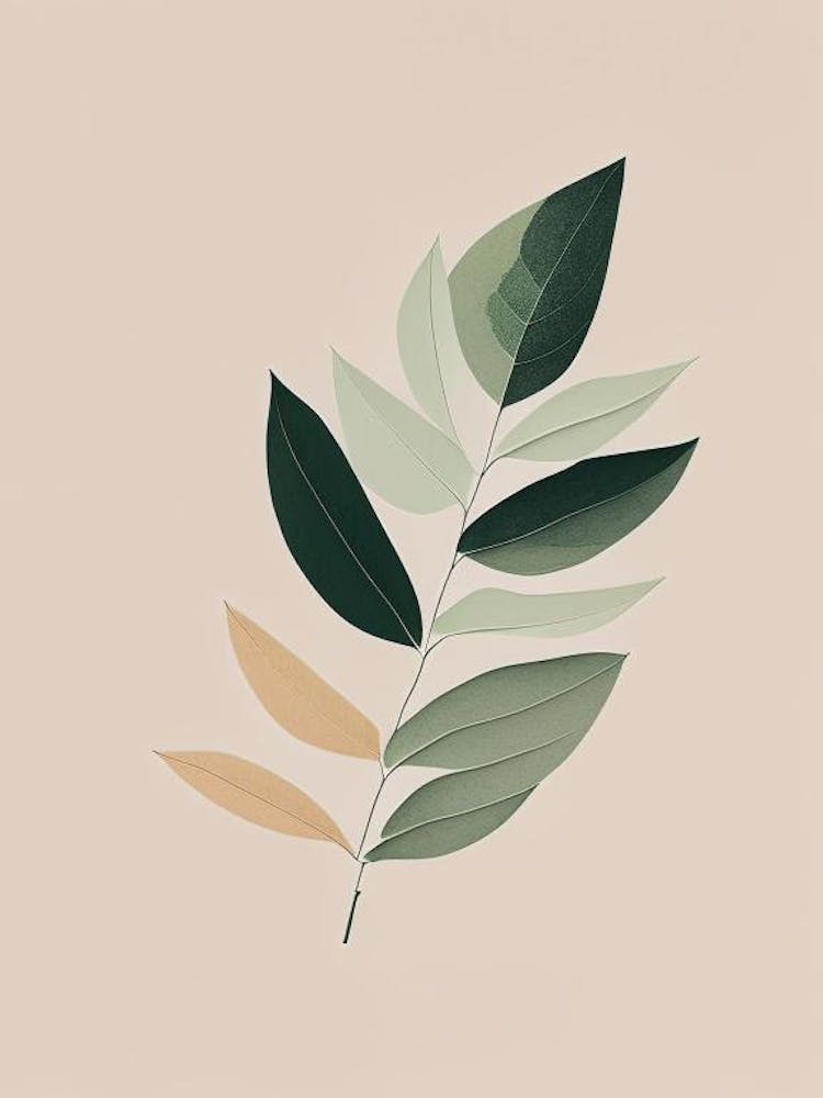 Bay Leaves Herb Simplicity 2