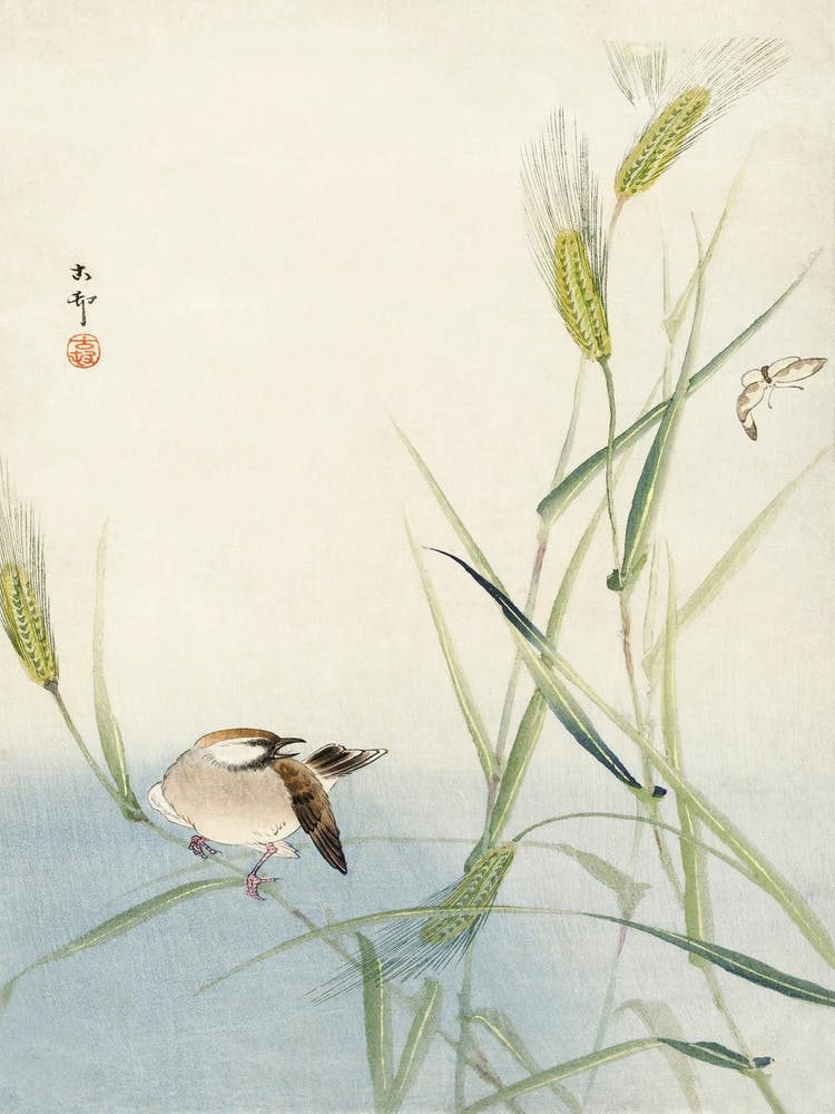 Bird And Butterfly (1900 1930), Ohara Koson