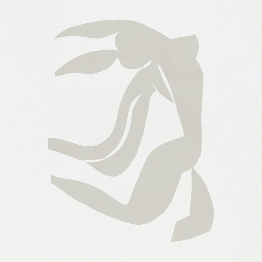 Gray Rabbit In Flight - - MATISSE