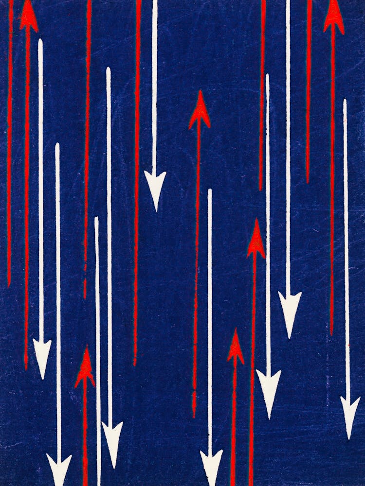 Vintage Ukiyo-e Woodblock Print Of Japanese Textile, Shima Shima, Furuya Korin (4)