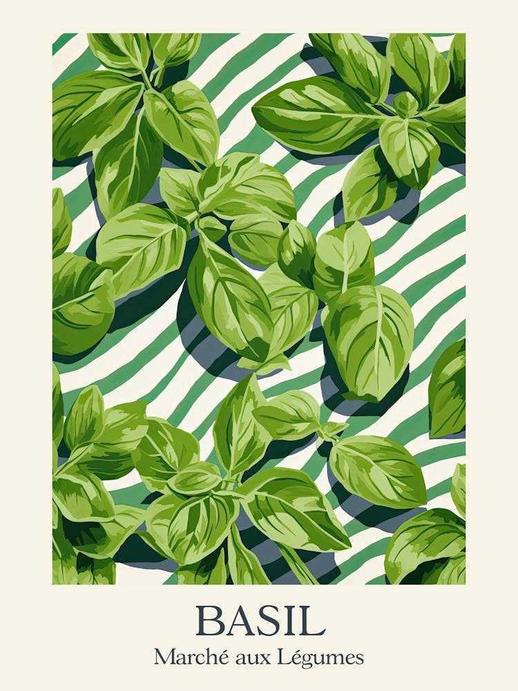Marche Aux Legumes Basil Summer Illustration 11