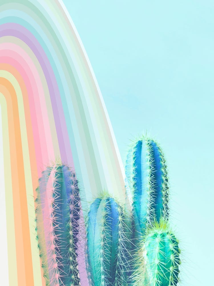 Minimal Dreamy Tropical Cactus Pastel Pink