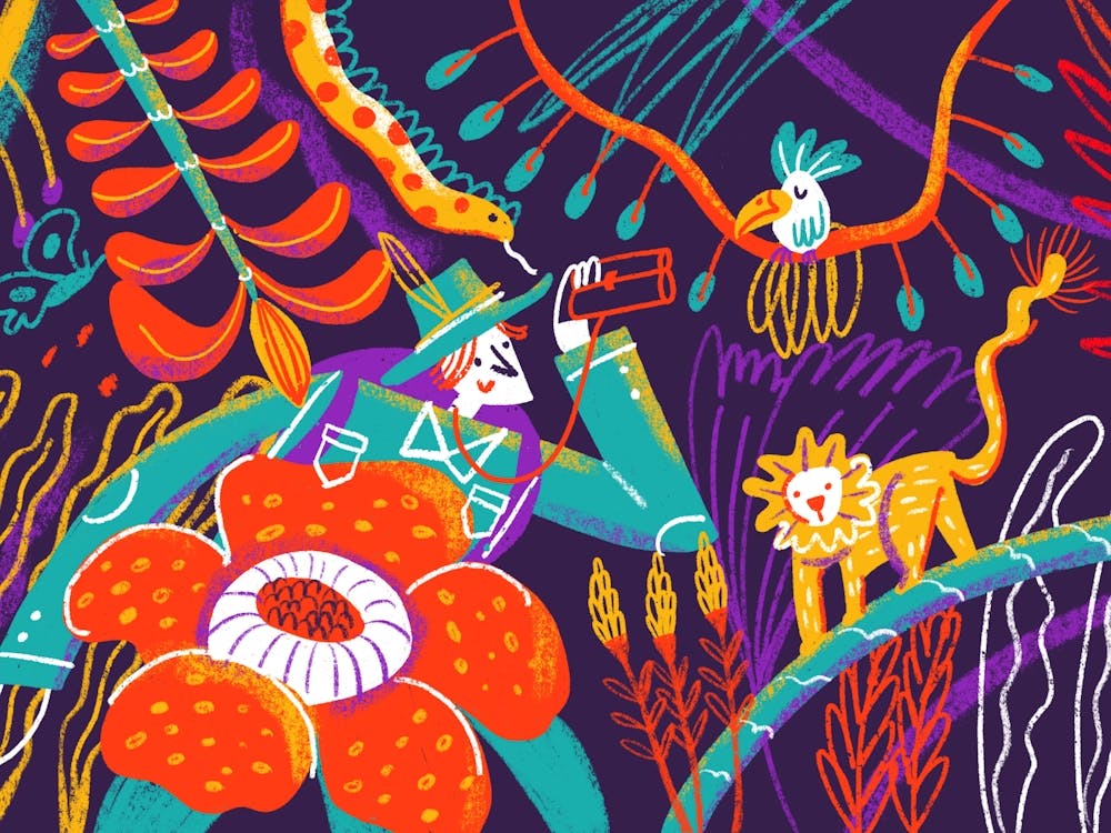 Jungle Explorer Adventure with Animals