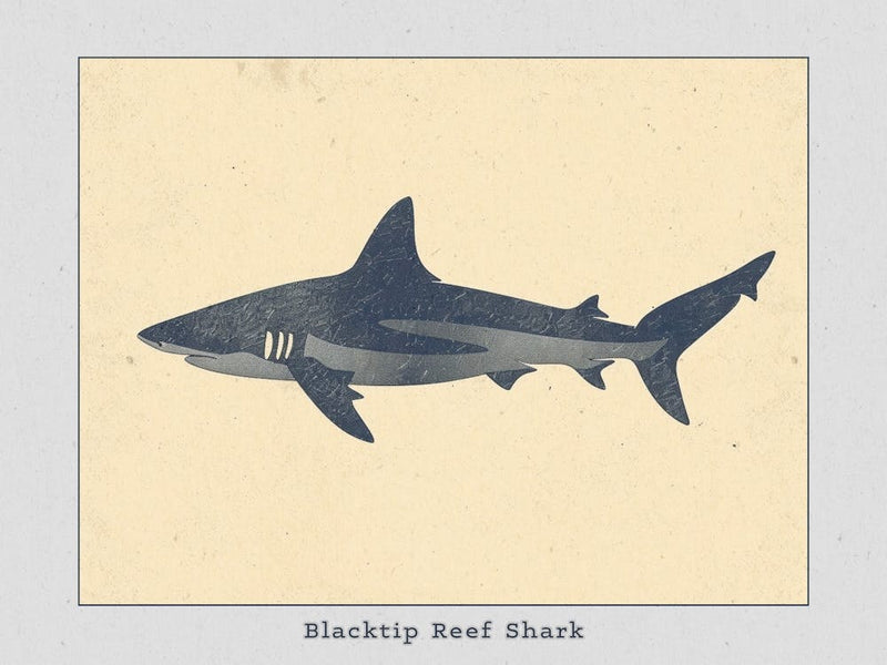 Blacktip Reef Shark Silhouette 6 Poster