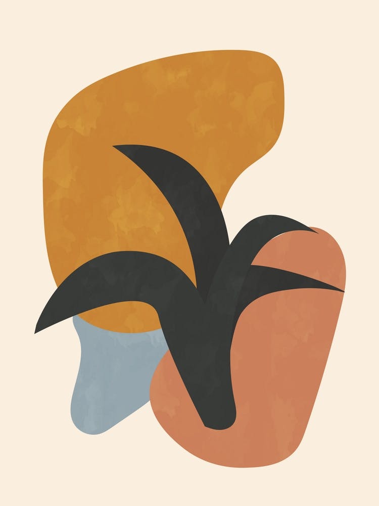 Haworthia Abstrakte Minimalistische Kunst