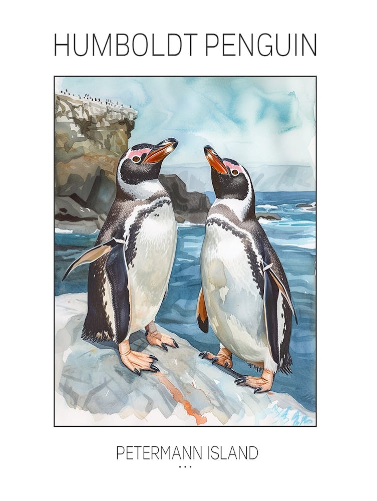 Humboldt Penguin Petermann Island Watercolour Painting 4 Poster