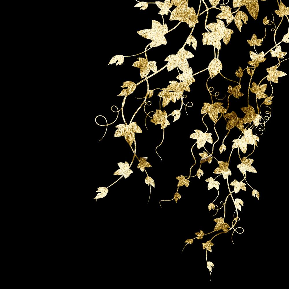 Gold Ivy On Black Background