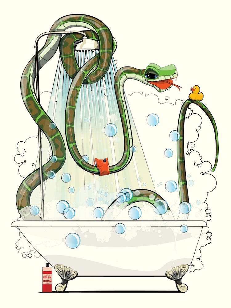 Snake In The Bath