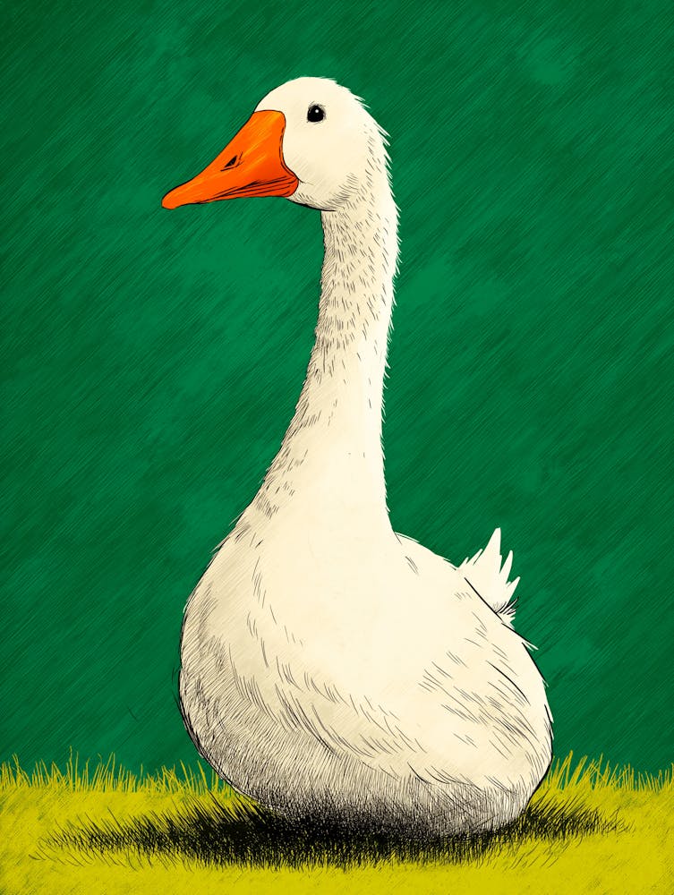 Silly Goose Wall Art