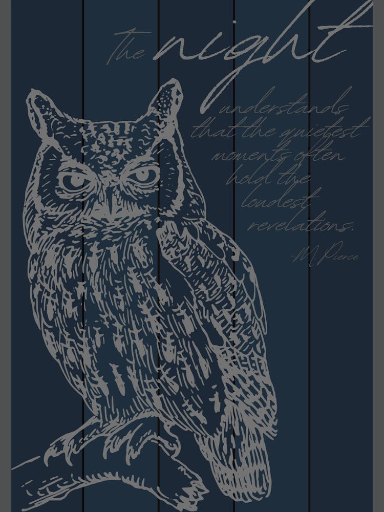 Night Owl Poster