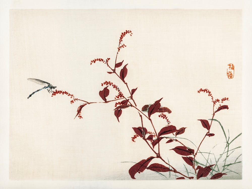 Dragonfly, Kōno Bairei