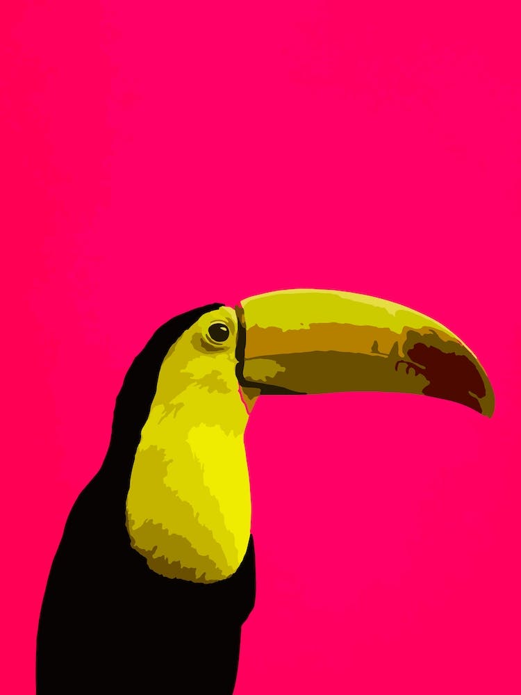 Toucan Pink