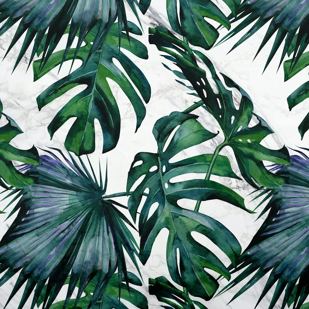 Tropical Leaves Palm and Monstera on Marble