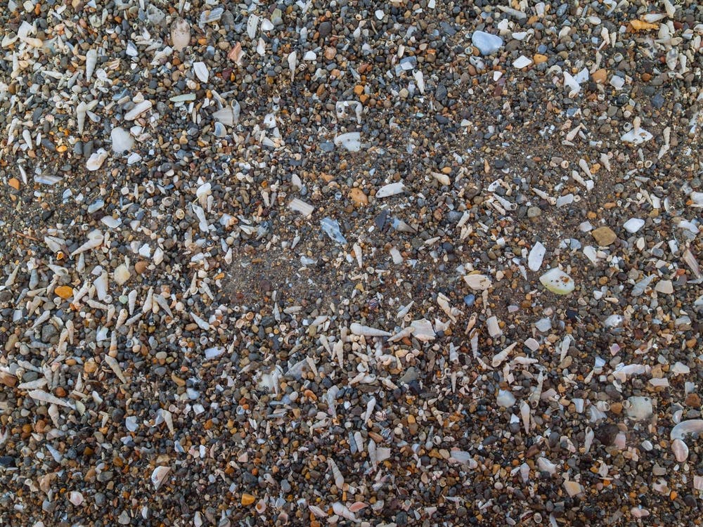 Tiny And Large Sea Shell And Rocks Texture Background 7