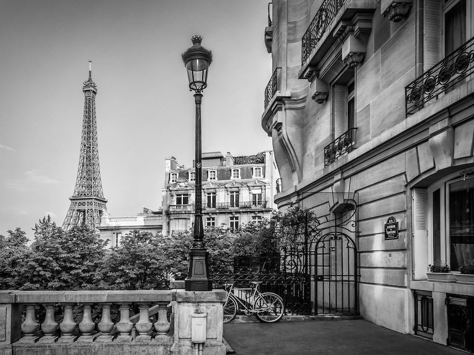 Parisian Charm