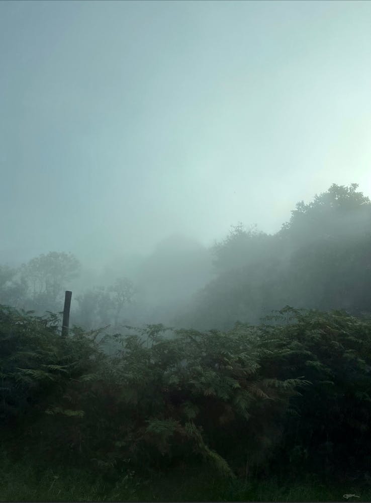 Foggy Morning In Loch Rannoch