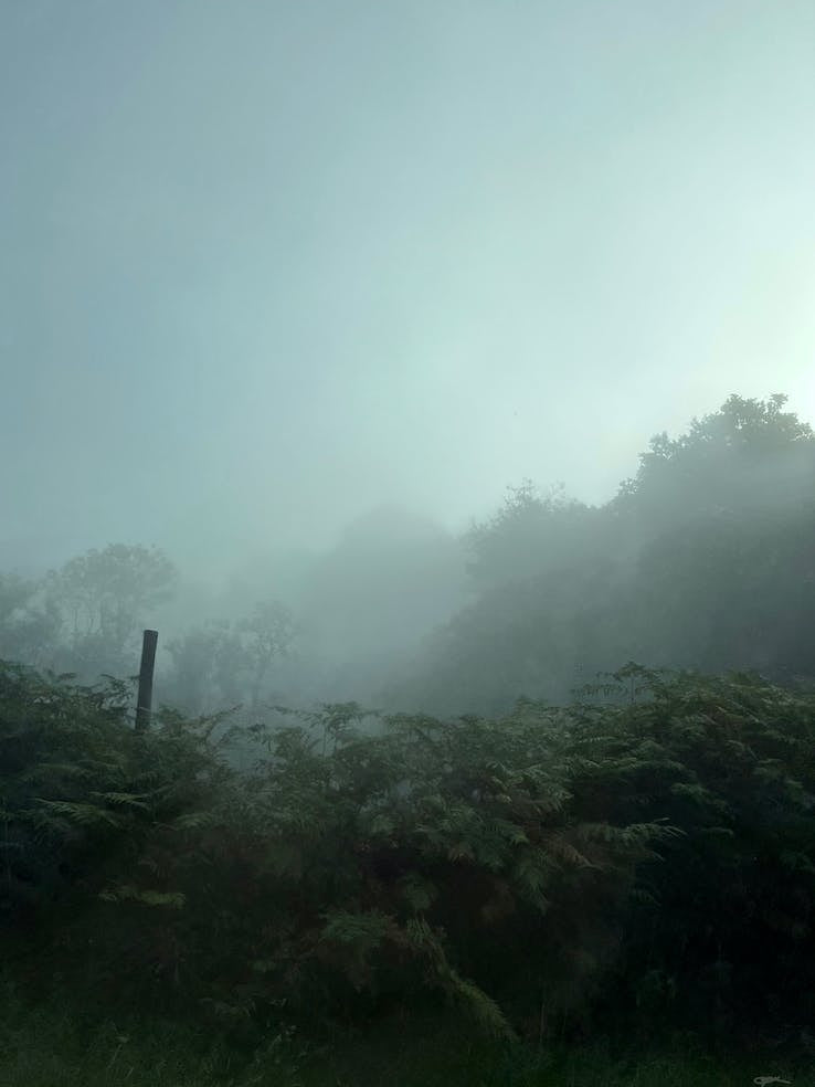 Foggy Morning In Loch Rannoch