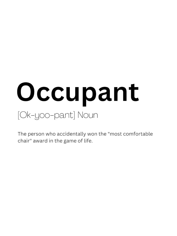 Occupant Definition Meaning