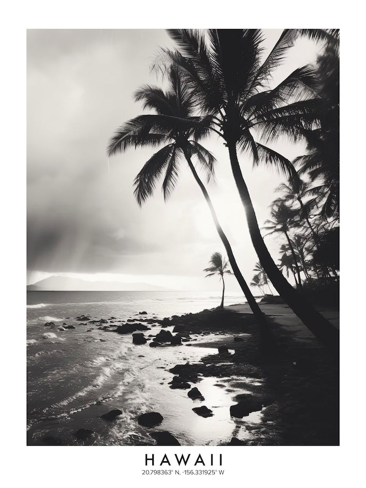 Poster Of Hawaii, Black And White Analogue Photograph 2