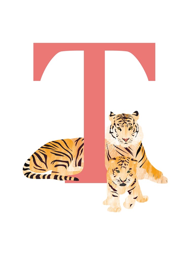 T For Tiger