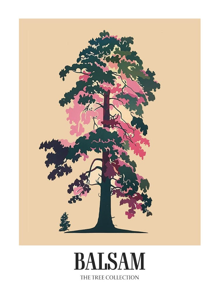 Balsam Tree Colourful Illustration 2 Poster