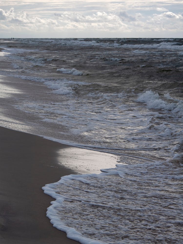 Greige Golden Evening Beach Walk