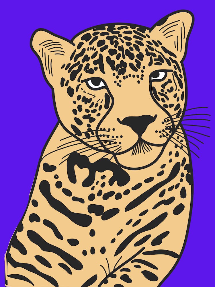 Leopard 7