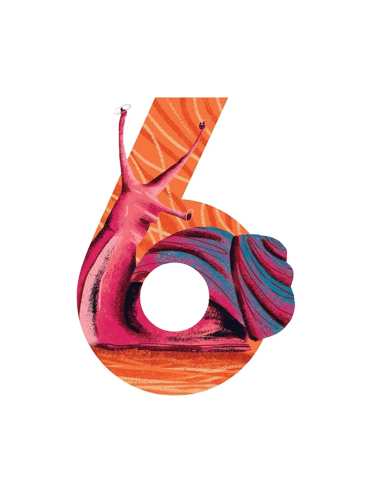 6  Snail