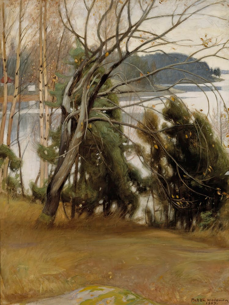 Sallow In Autumn (1907), Pekka Halonen