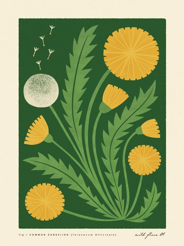 Dandelion Modern-Retro Yellow and Green Wild Flower
