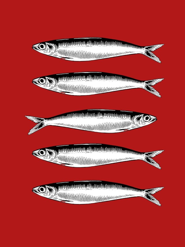 Sardinen Küche 3