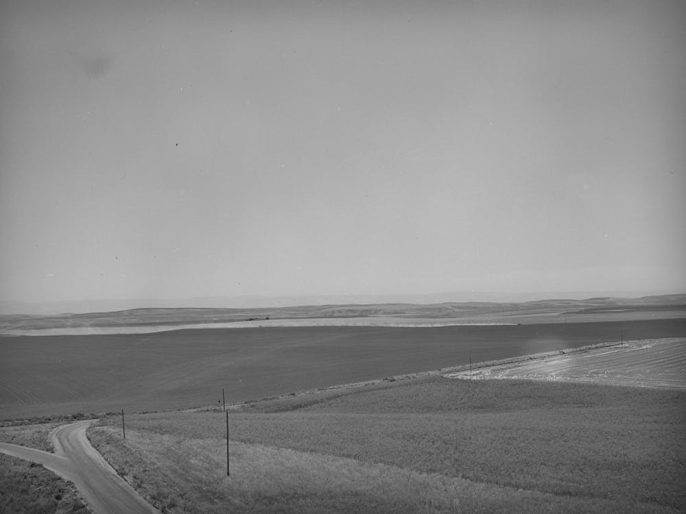 Wheat Land, Eureka Flats, Walla Walla County, Washington By Russell Lee