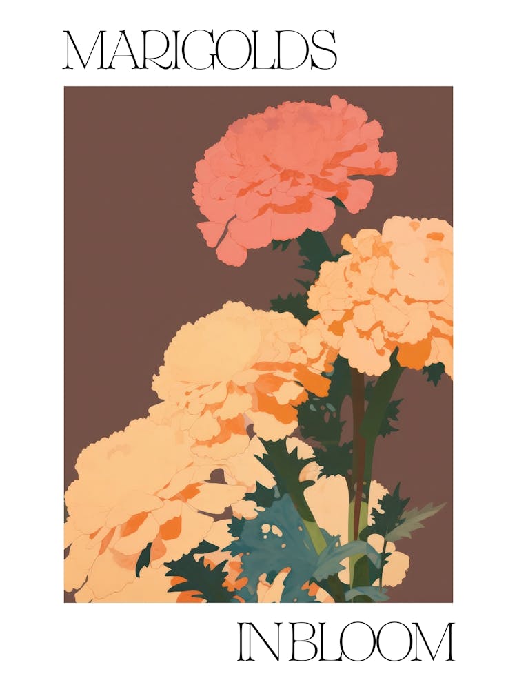 Marigolds In Bloom Flowers Bold Illustration 2