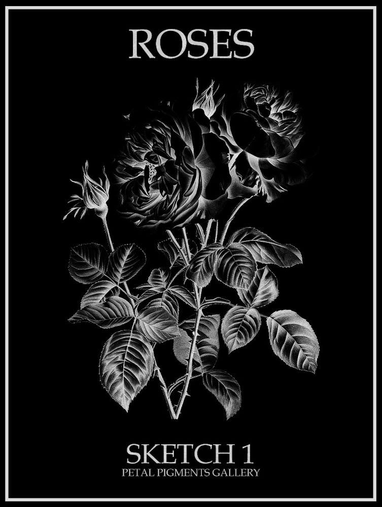 Roses Sketch 1 Poster Inverted