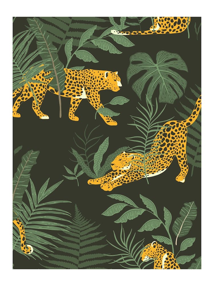 Wild Collection Cheetah