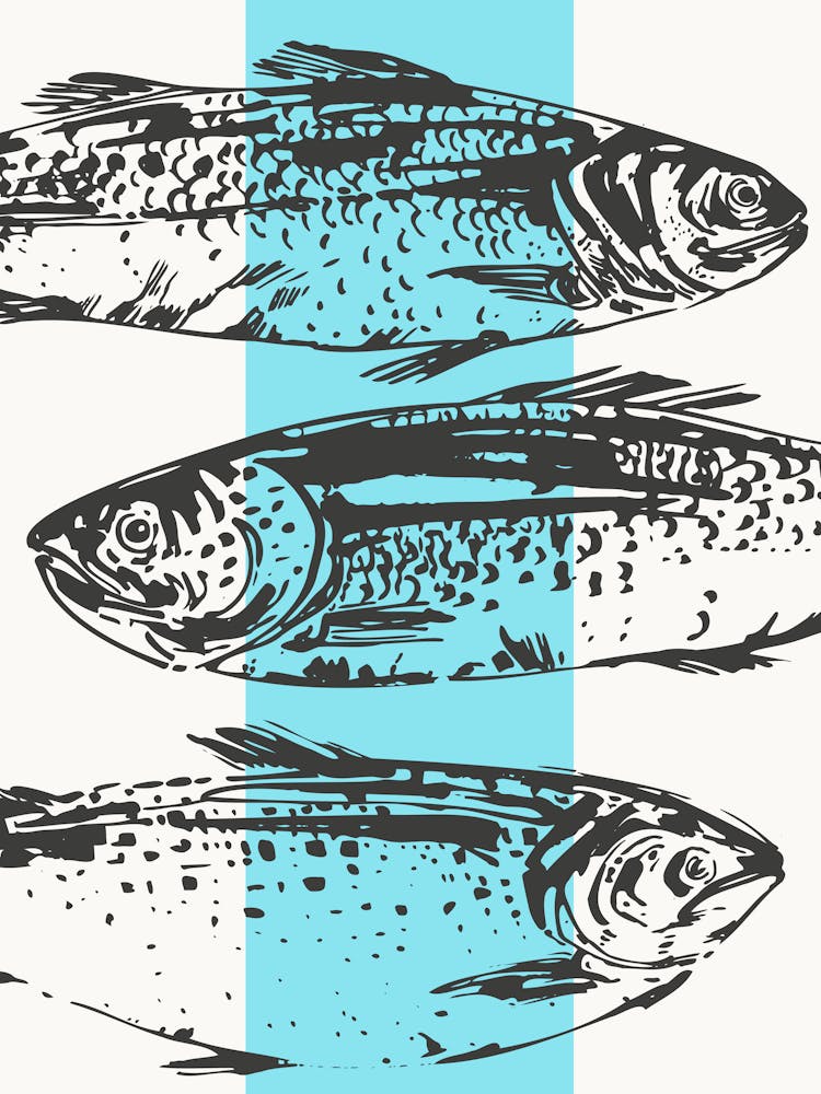 Sardines 10